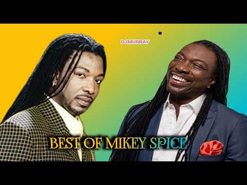 Mikey spice Best of Reggae lovers rock mix