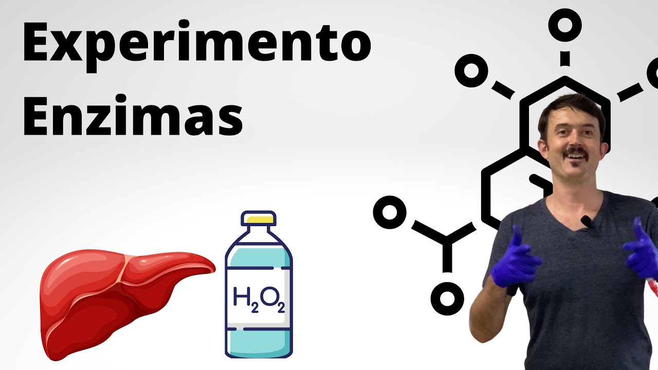 Enzimas - Aula Prática (Fígado de boi)
