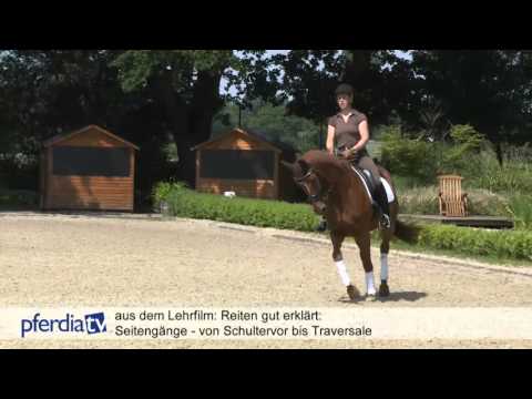 Reiten gut erklärt - Teil 4 - Seitengänge - von Schultervor bis Traversale