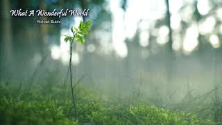 Michael Buble - What A Wonderful World