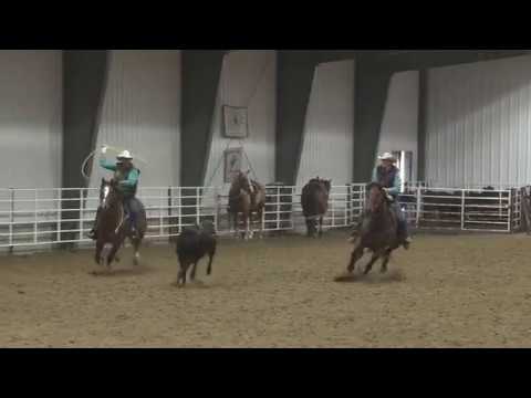 Pitzer Ranch 2019 Spring Sale Lot 33 Joe Jacks Cherokee