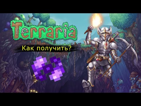 КАК ПОЛУЧИТЬ ЭССЕНЦИЮ НОЧИ (ТЬМЫ)? 2022