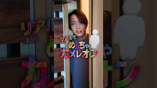 【実写版】めっちゃカメレオンを兄の部屋でやったら楽しすぎたけどムズすぎるｗｗｗ
