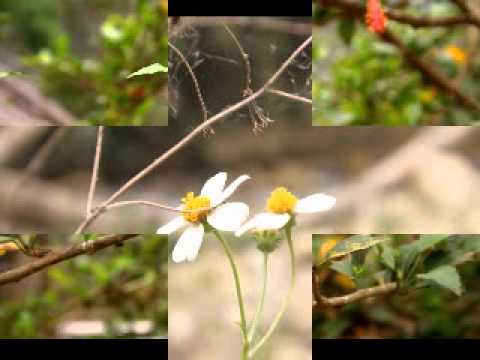 Em còn yêu anh - Tuấn Ngọc