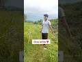 गाँव का आशिक़ PAKDA GYA BLACK ROZ Funnyvideos Trendingmemes Desicomedy Viralsh