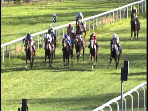 Galopprennbahn Dresden 26.10.2013 - 3.Rennen