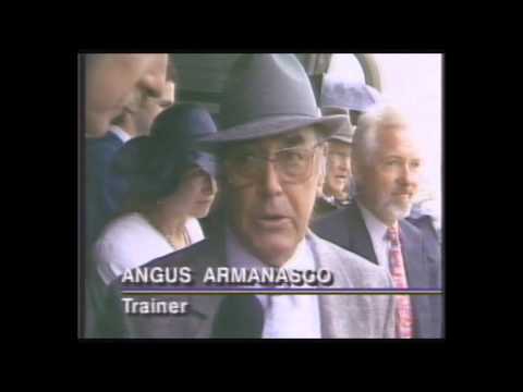 1992 VRC Spring Carnival _ Flemington _ Derby Day _ Race 1  Race 2