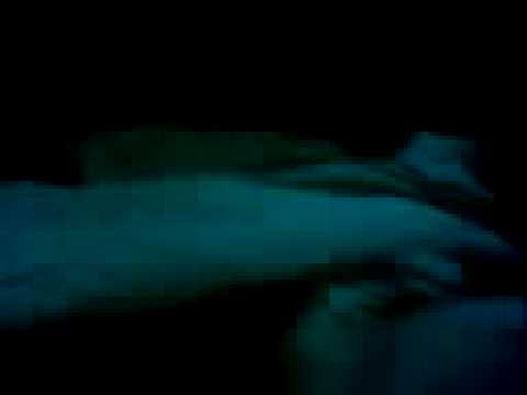 Los mas azikalaos- giakomo 2 parte