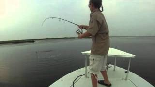 preview picture of video 'Youngster Sightcasting Big Redfish'