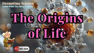 From Cosmic Dust to Lifeforms