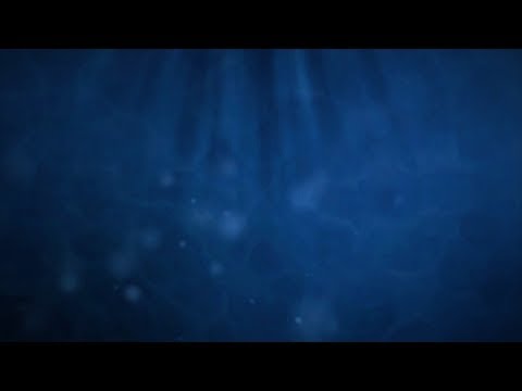 Natural History Museum - Customer Success Story