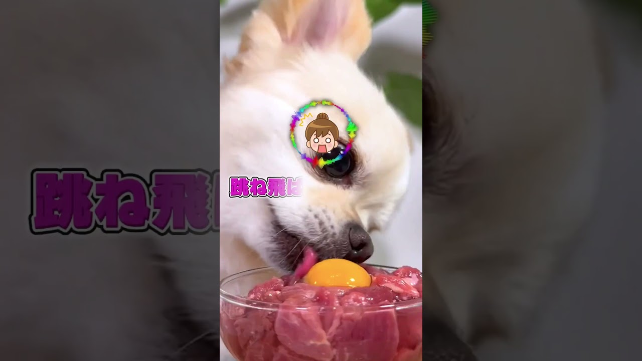 【スカッと】車に轢かれた私元へおばあさんがやってきて…#スカッとする話