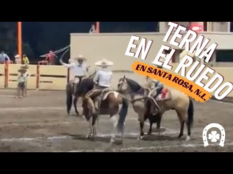 Jineteo de toro y terna en el ruedo 🐴🤠