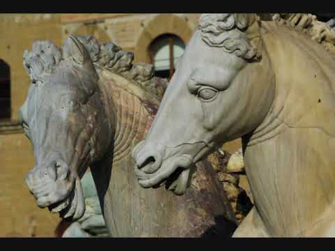 Firenze è     un sogno!