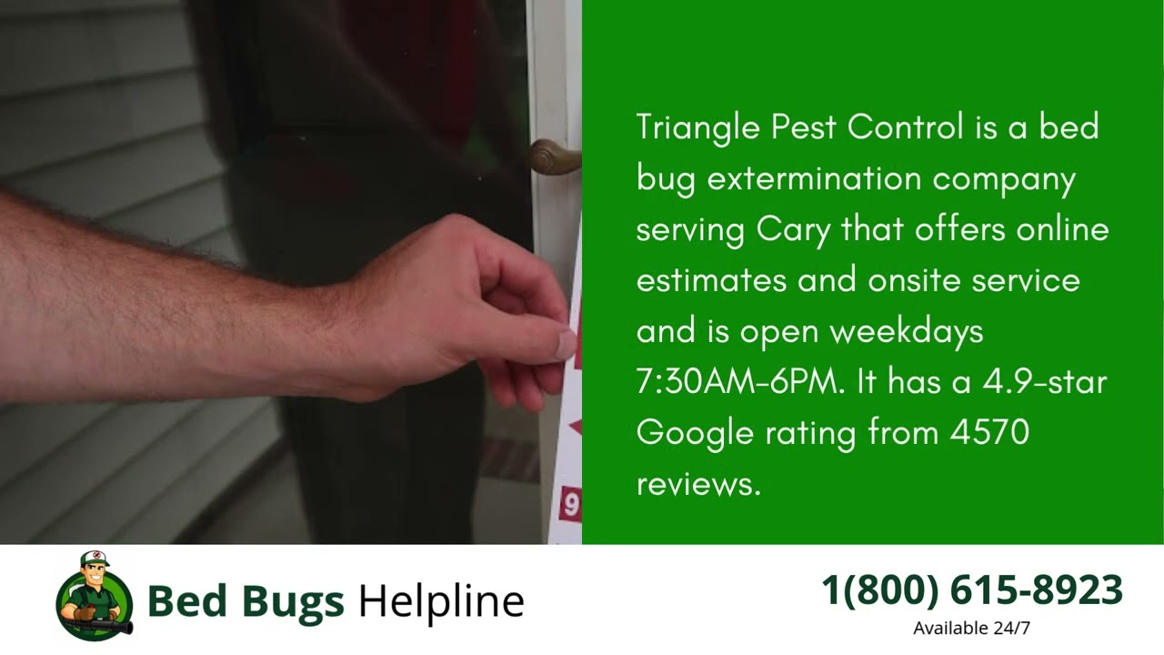 Top 3 Bed Bug Removal Companies in Cary