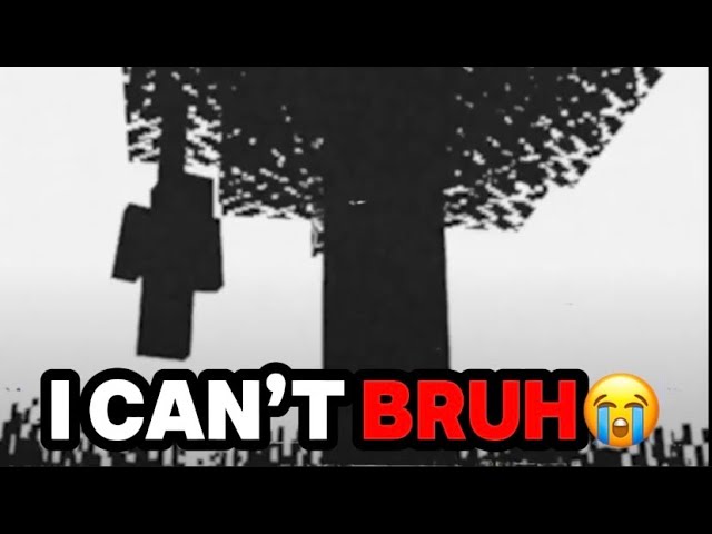 I CANT WITH THIS MINECRAFT ARG BRUH