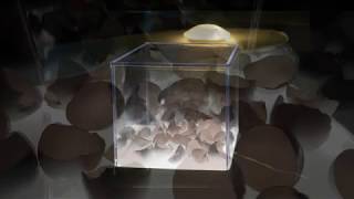 Listen - SUPERPROTEIC O... di Salvatore Cammilleri - Ambiente sonoro di Mauro Bagella e Lisa Monna