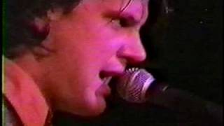 Neutral Milk Hotel - worms, king of carrot flowers