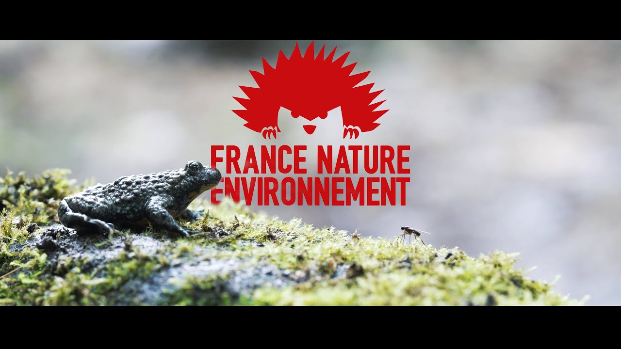 Loire Forez ABC — Bertail Production