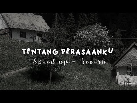 Irwansyah - tentang perasaanku ( speed up + reverb )