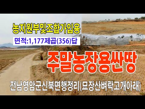 묘장산 영상