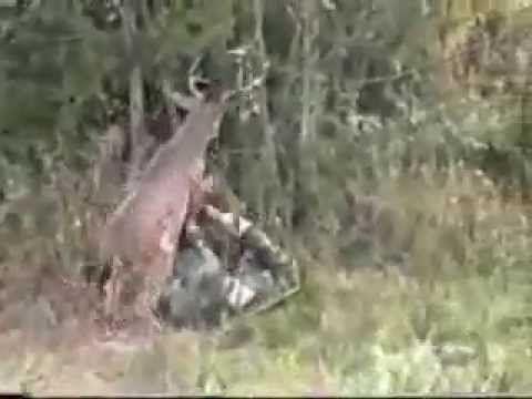 http://youtu.be/tpdORoMGOcA