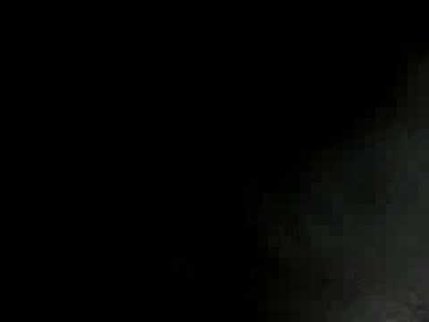 Otis the Bunny cleans up