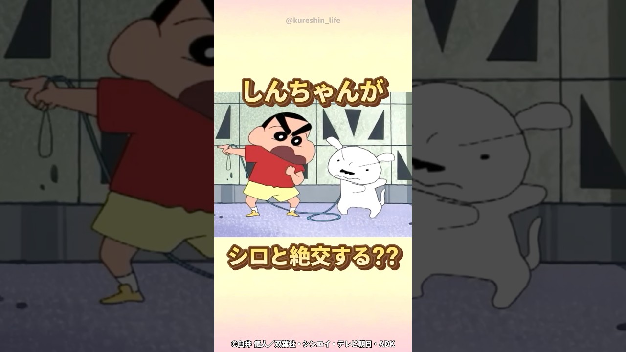 【感動】しんちゃんがシロと絶交する？？『シロとケンカだゾ』　#クレヨンしんちゃん #野原しんのすけ #野原みさえ
