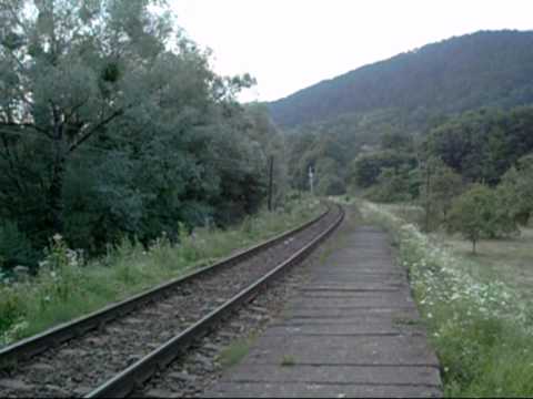 Trenuri in Piatra Craiului, Bulz & Stana de Vale (08 08 2010)