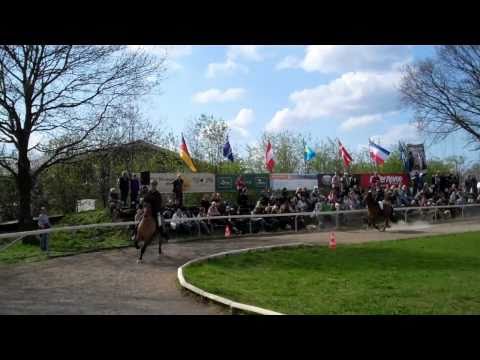 Gestütsschau Kronshof @ NoHePa 2011 - www.kronshof.de