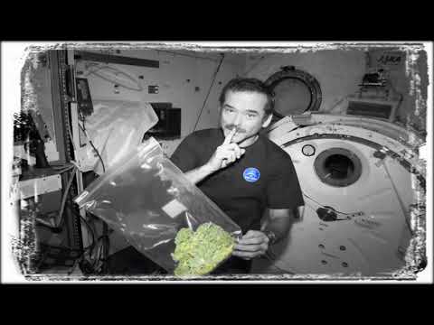 YUNG SIMMIE - SPACESHIP (PROD BY DJ SMOKEY)(with EQ)