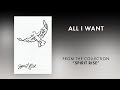 All I Want (Lyric Video) | Spirit Rise [Travis Cottrell]