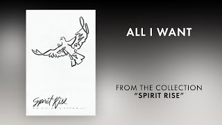 All I Want (Lyric Video) | Spirit Rise [Travis Cottrell]