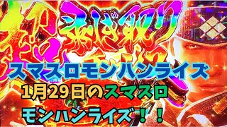Lモンスターハンターライズ 29頭目 