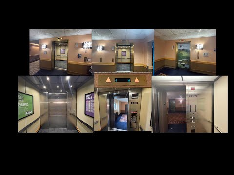 STRANGE Setup! 3 Different Elevator Brands in One Bank?! - Jackpot Junction Casino in Morton, MN