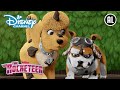 Rocketeer | ? Zij Aan Zij | Disney Junior NL