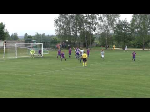 Skrót Spartakus Aureus Daleszyce Orlęta Radzyń Podlaski