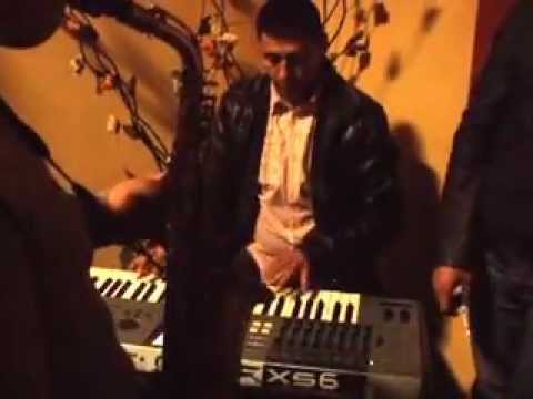 leo la sara banateana faget