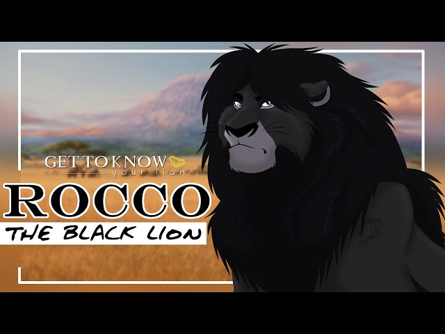 Προφορά βίντεο Rocco στο Αγγλικά