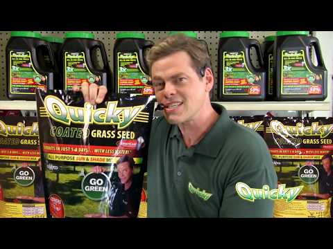 Quicky Grass Infomercial with Vince Offer