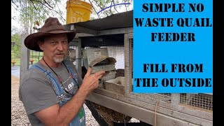 Raising Coturnix Quail for Meat and Eggs / The Best little DIY Quail Feeder / A little About Quail