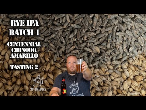 All Grain Rye IPA Batch 1 Centennial Chinook and Amarillo Hops Tasting 2