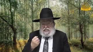 דף היומי בחצי שעה – בבא מציעא דף י"ג