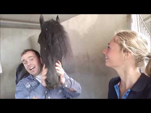 Vlog #23 *OnTour* Age Okkema Stal de Mersken