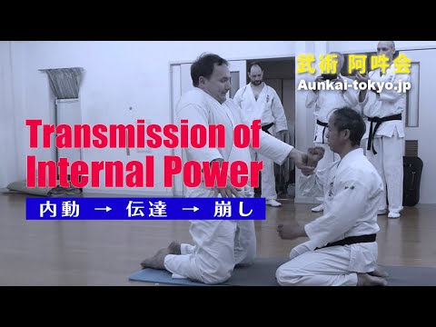 【武術・武道の知恵】内動→伝達→崩し〜Transmission of internal power〜Aunkai Bujutsu