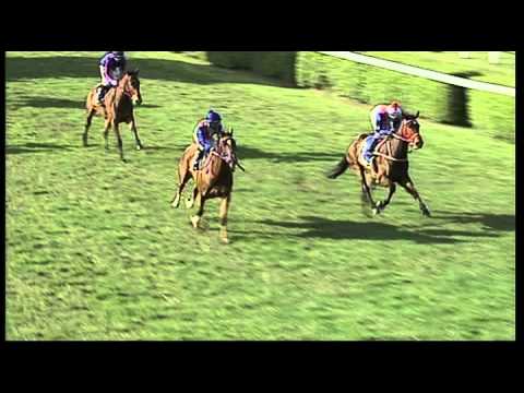 Clairwood 25082013 Race 7