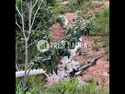 FAZENDA DE DUPLA APTIDÃO | 42 ALQUEIRES (203,28 HECTARES) | CAIAPÔNIA –GO