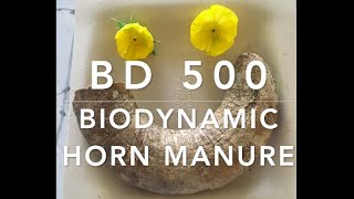 Basics of Organic Biodynamic Farming: How to Grow Organically in Flori