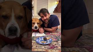 Snapping turtle alert!! #mentalhealth #therapy #anxiety #lexapro #prozac