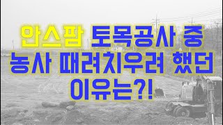 지역주민과의 갈등 및 에로사항 2편 / 귀농 / 스마트팜 / 딸기농사